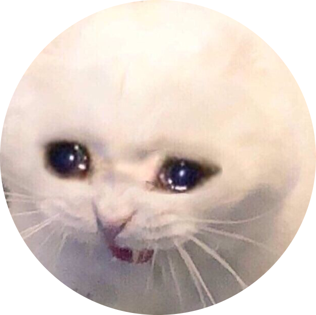 担忧猫咪表情包圆形 壁纸