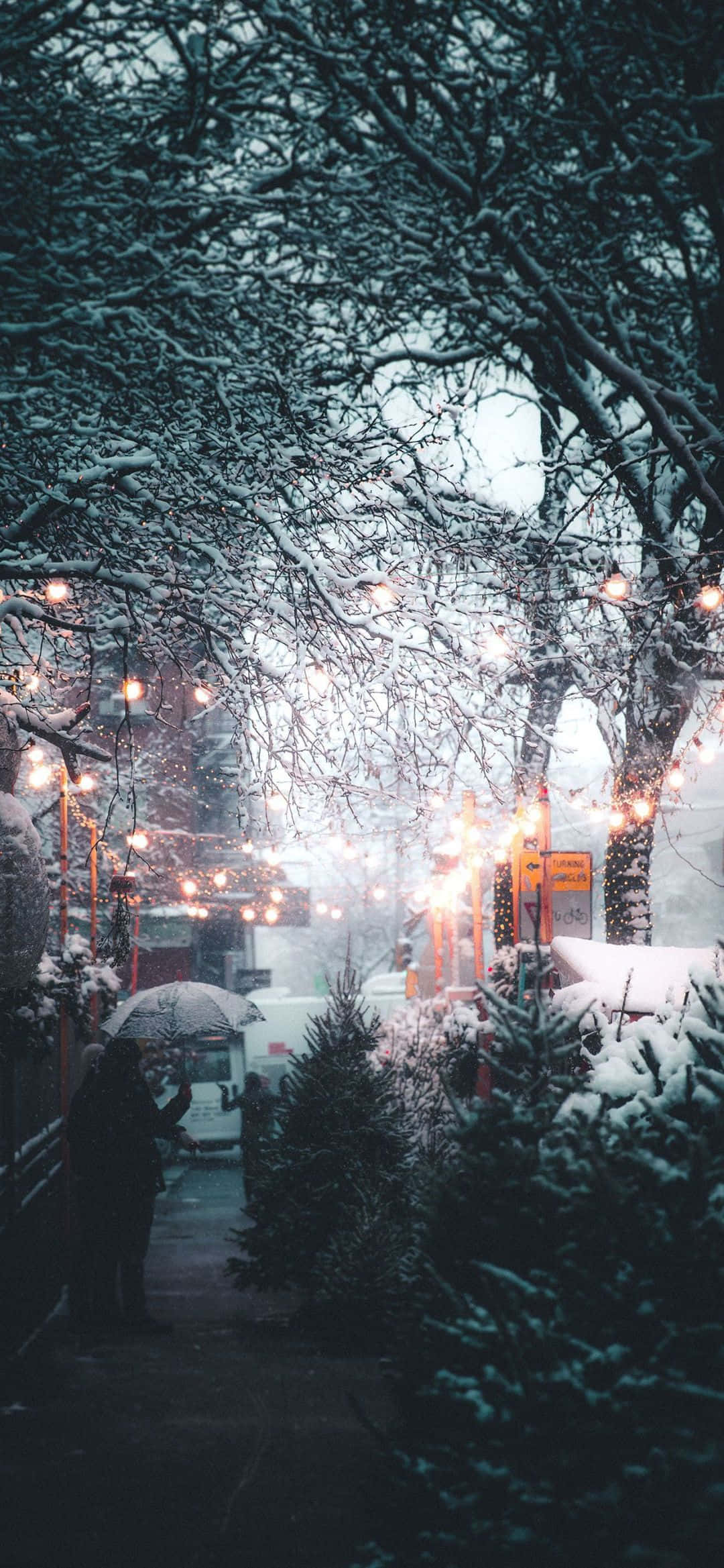 拥抱凉爽冬季，尽享雪景美学 壁纸