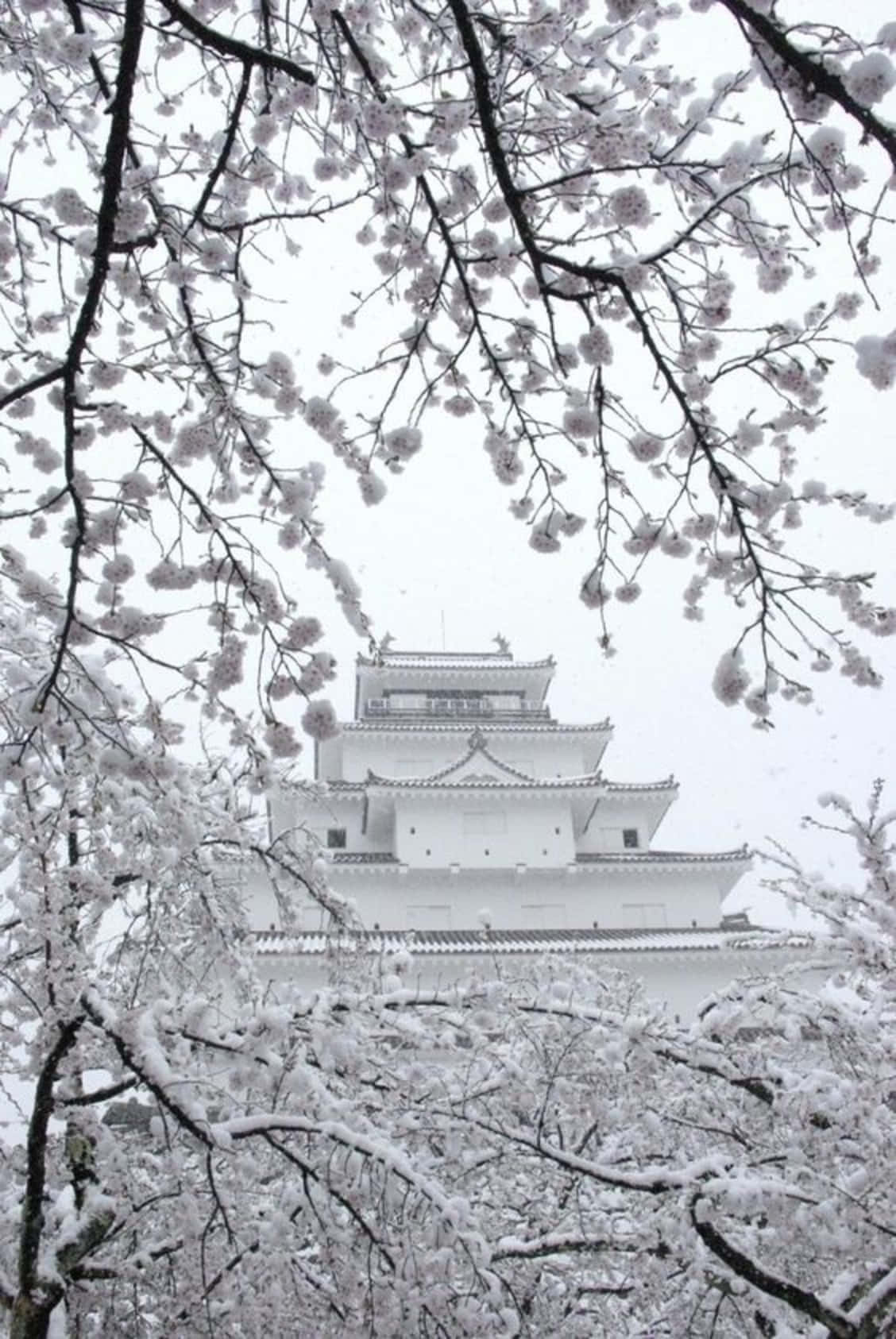 拥抱简约之美 壁纸