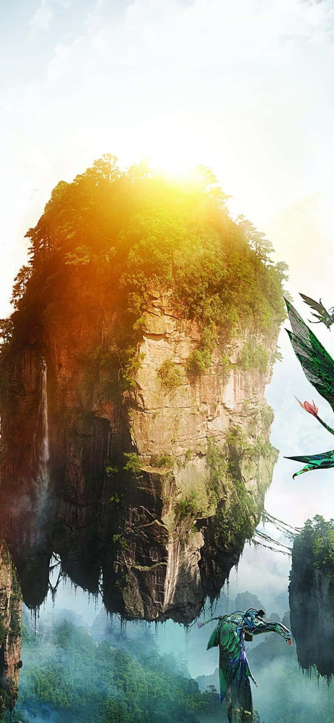探索《阿凡达》中潘多拉的奇幻世界 壁纸