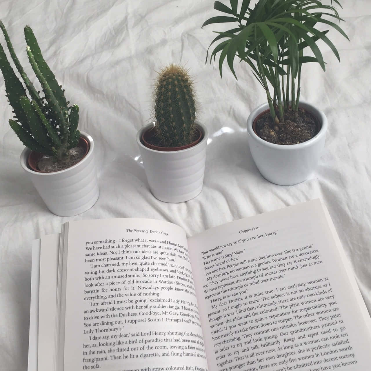 探索书籍的世界！📖 壁纸