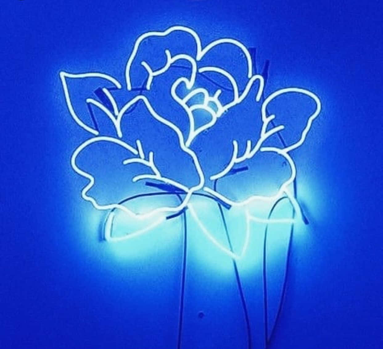 探索霓虹蓝美学的超现实之美 壁纸