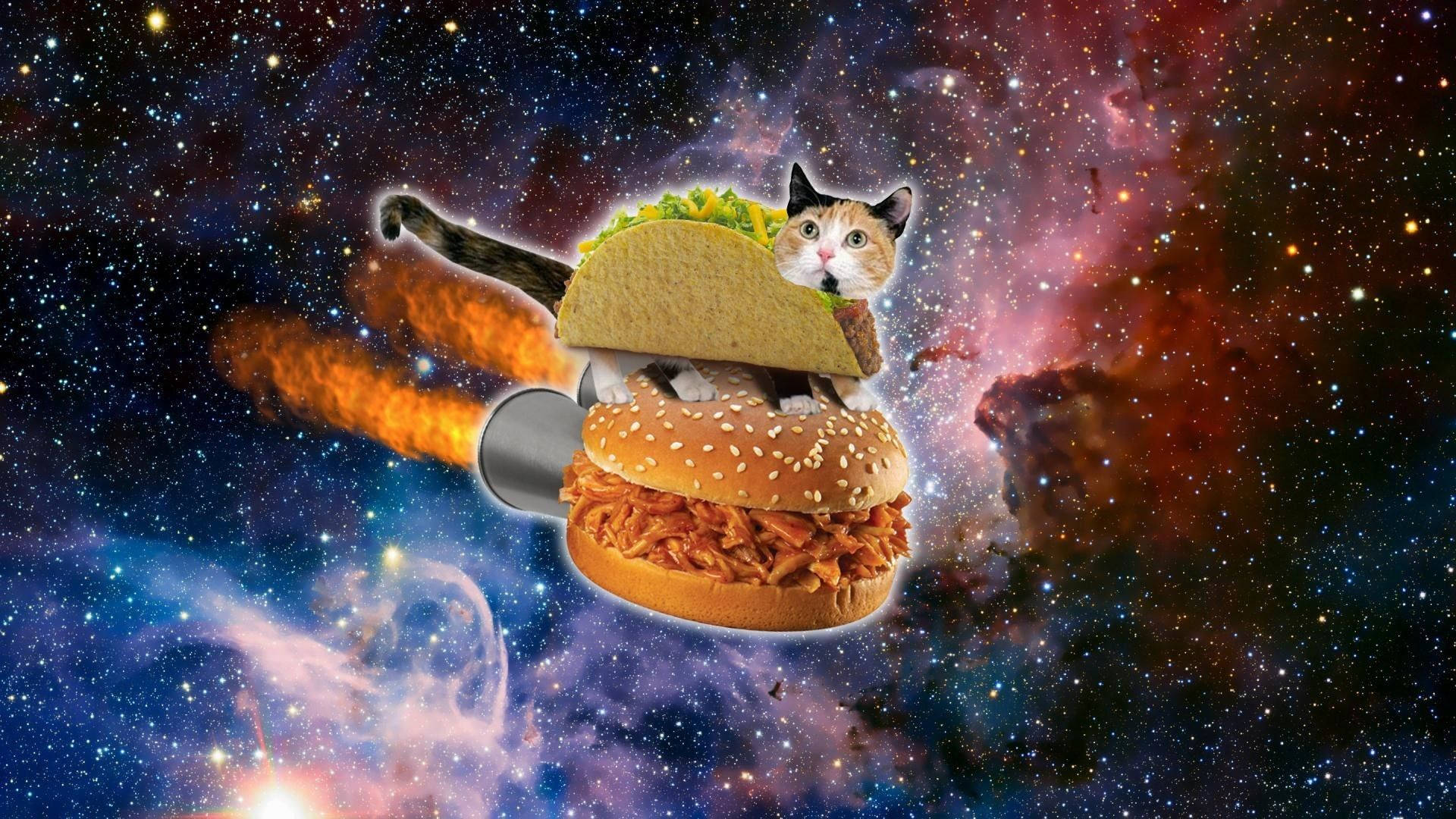 搞笑太空汉堡猫 壁纸