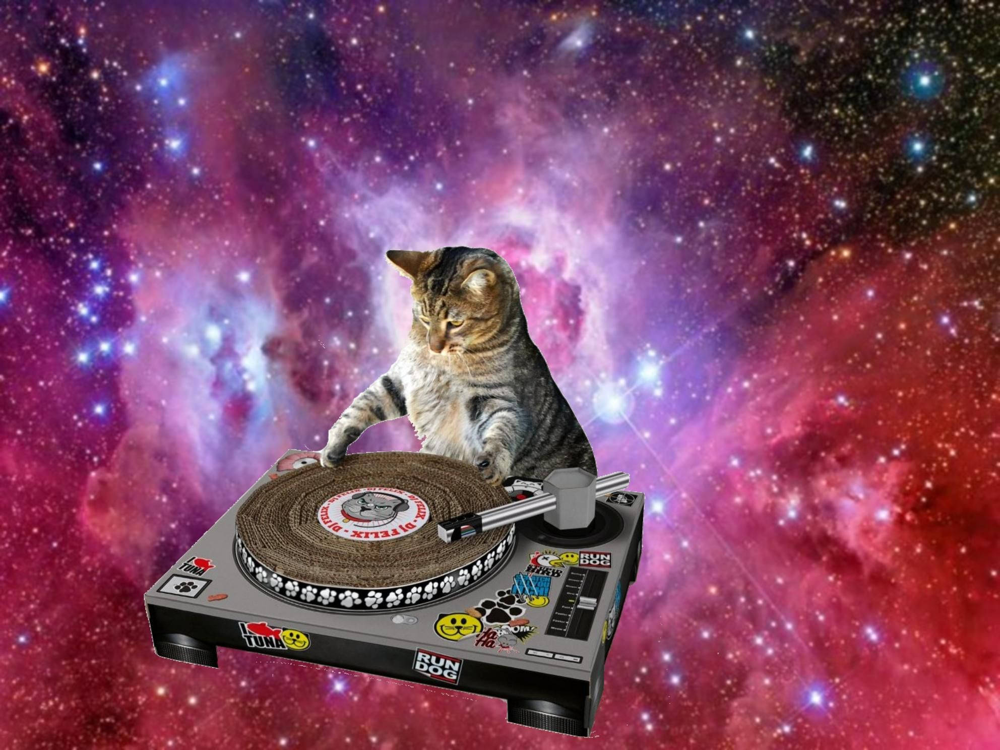 搞笑猫咪DJ太空打碟 壁纸
