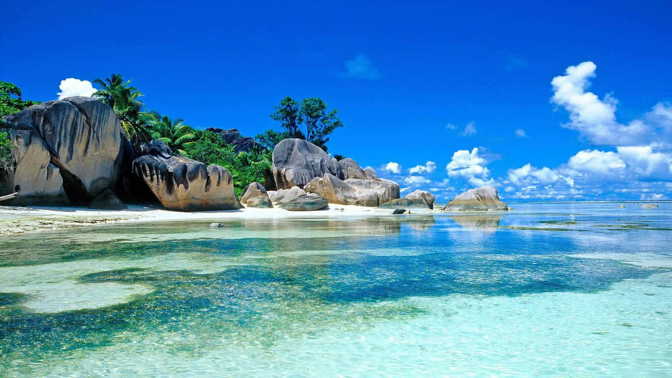 高清海滩