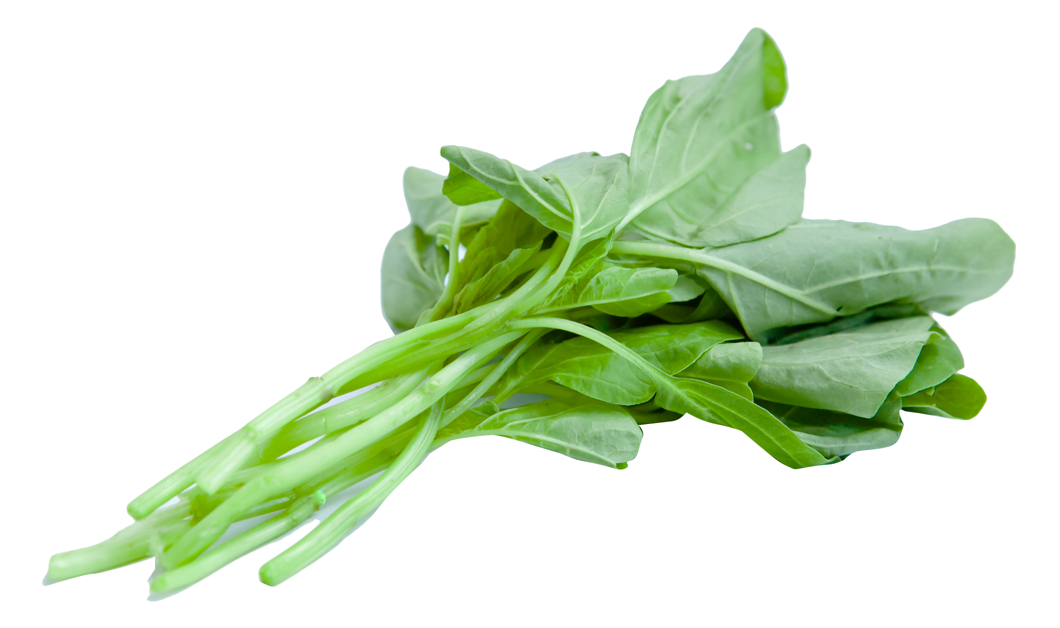 新鲜菠菜叶孤立 壁纸