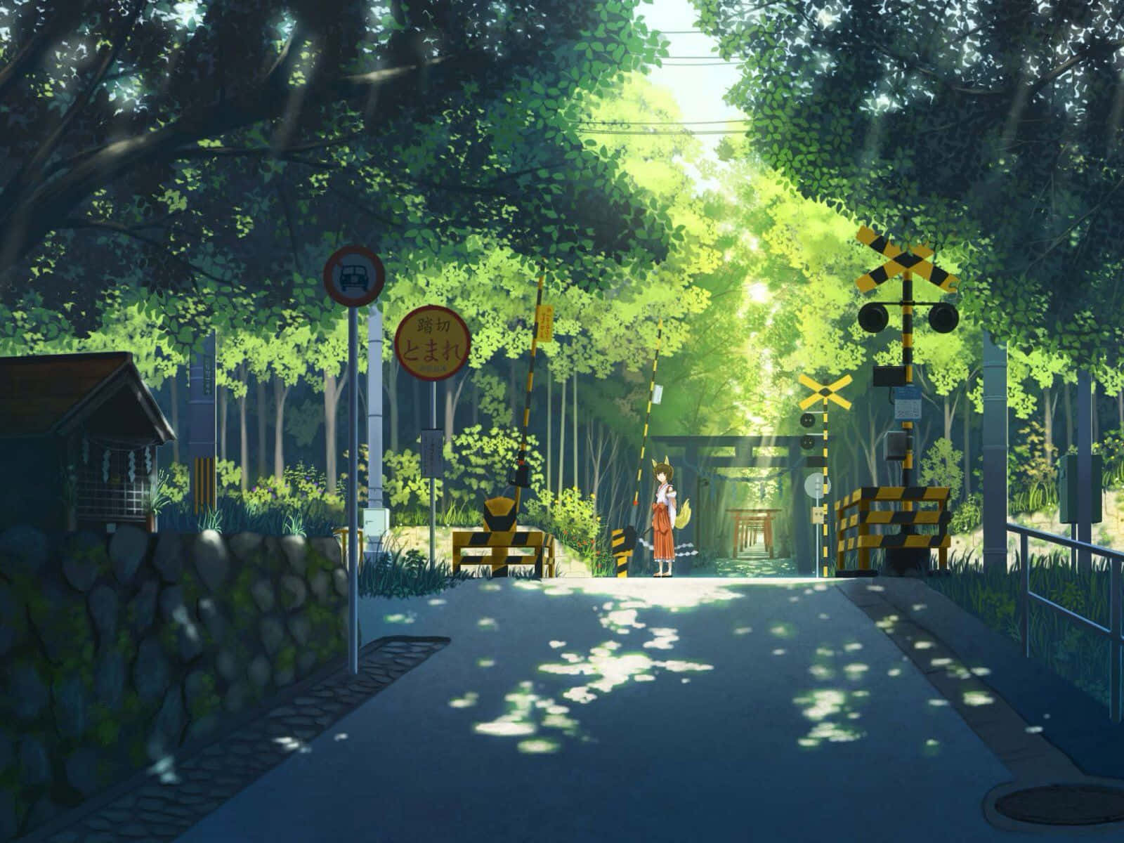 日本动漫绿荫街道 壁纸