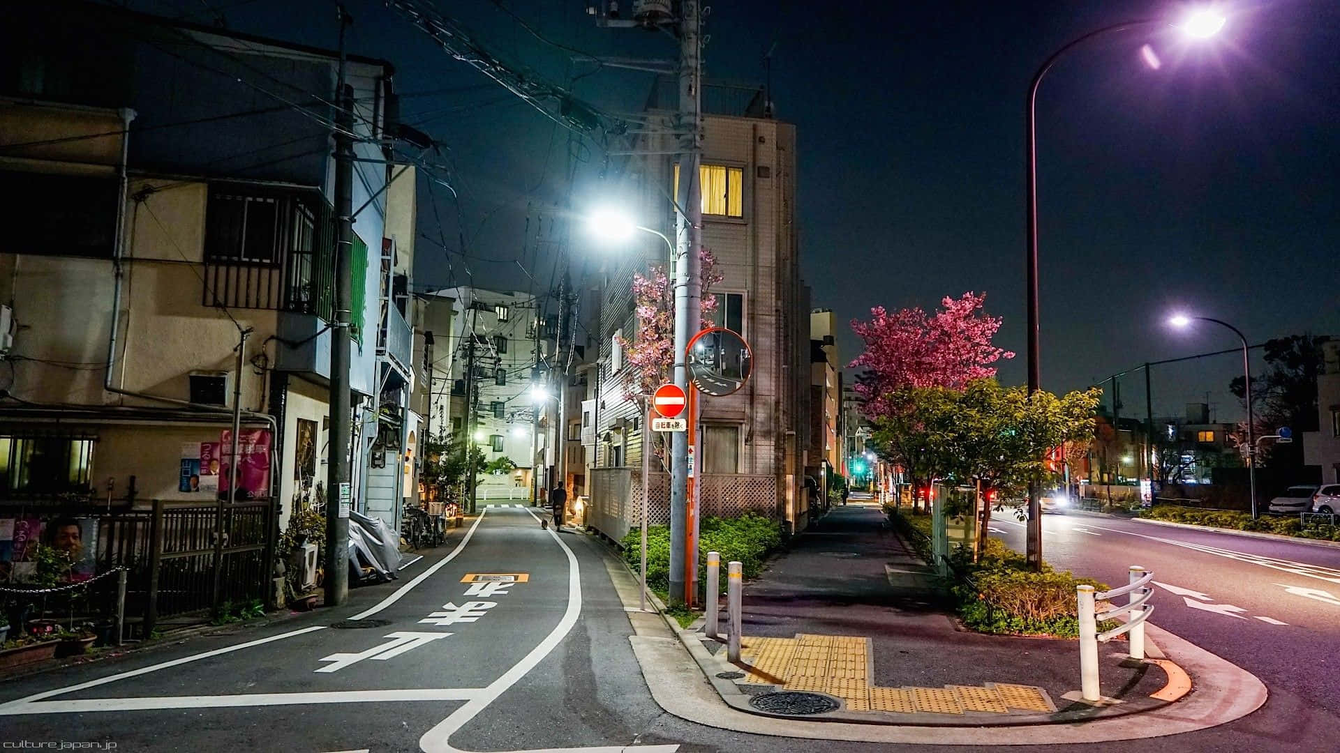 日本道路上的街灯 壁纸