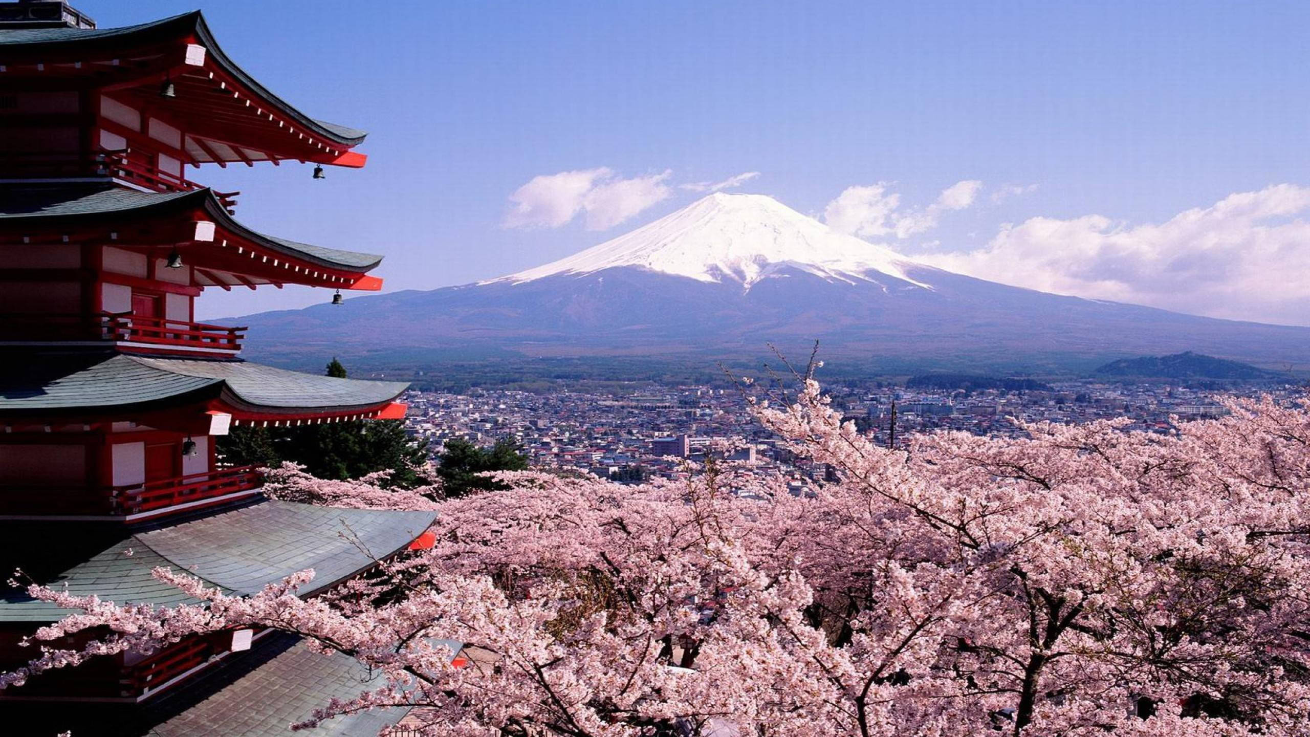 日本雪覆富士山 壁纸