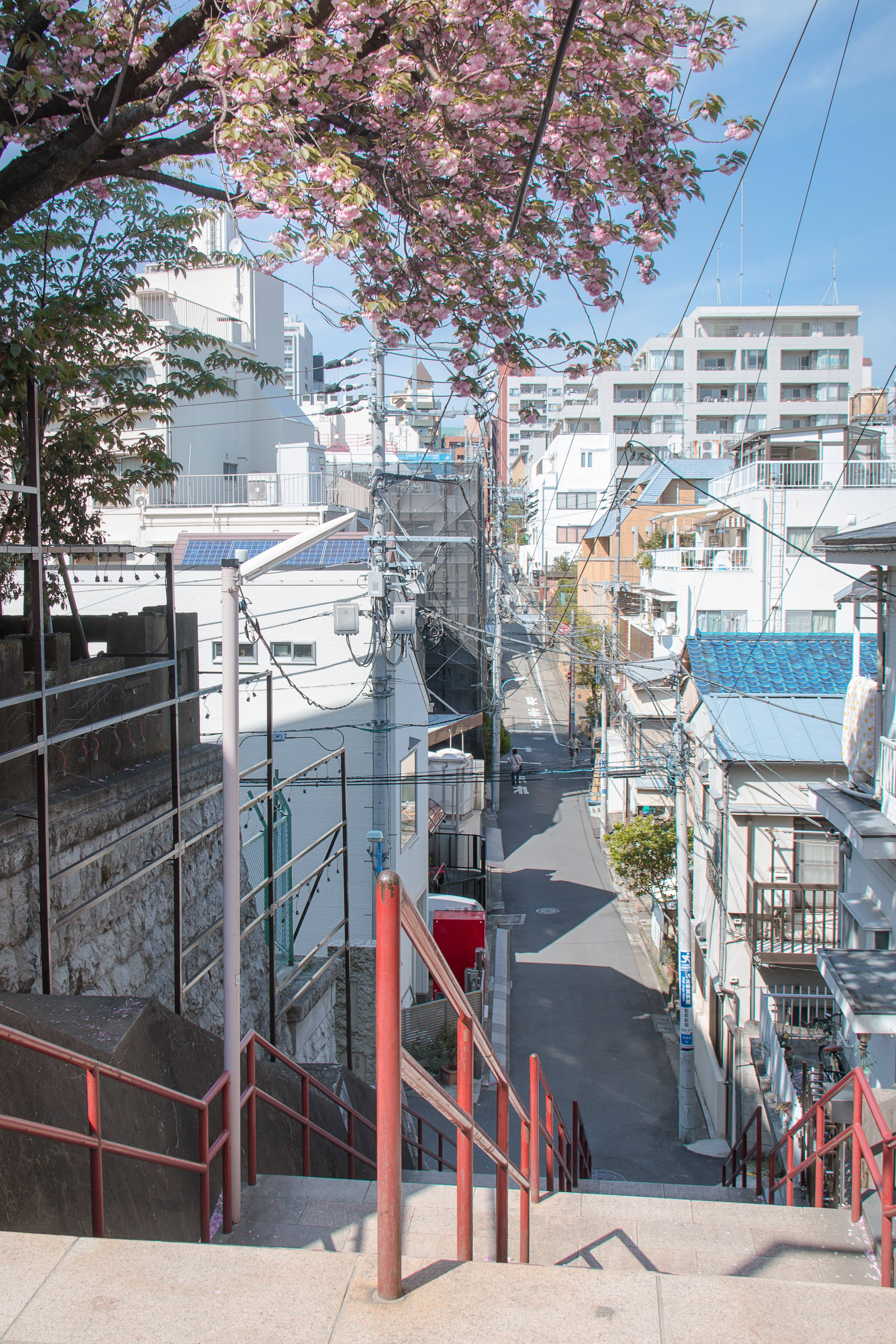 日本高清 须贺神社阶梯 壁纸