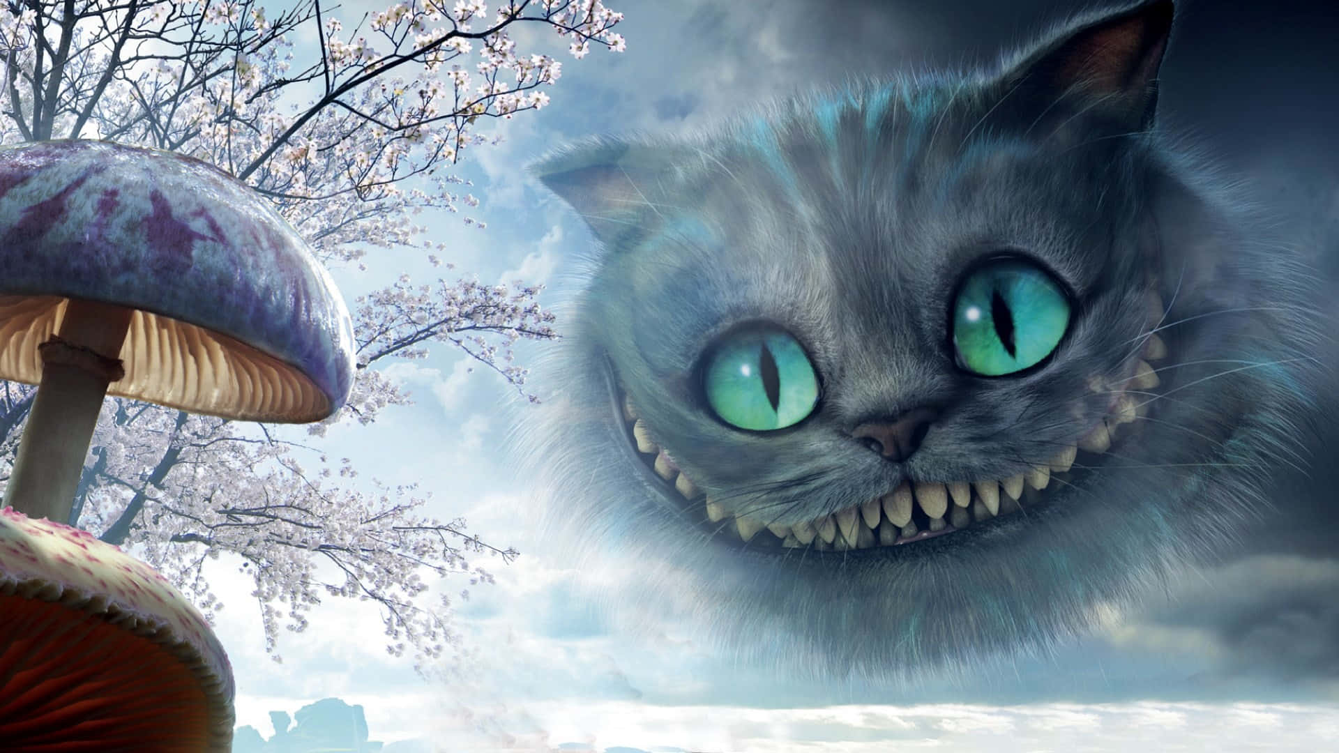 星光下巨大的柴郡猫狡黠微笑 壁纸