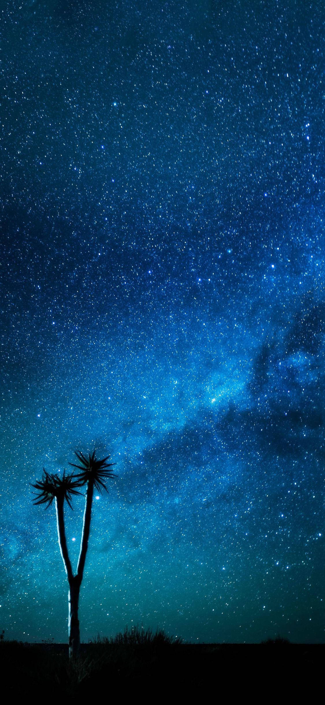 星夜蓝色iPhone 壁纸