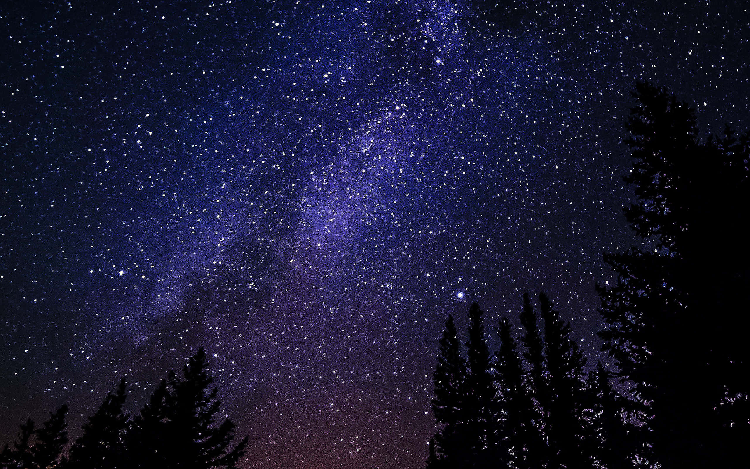 星空与树影 壁纸