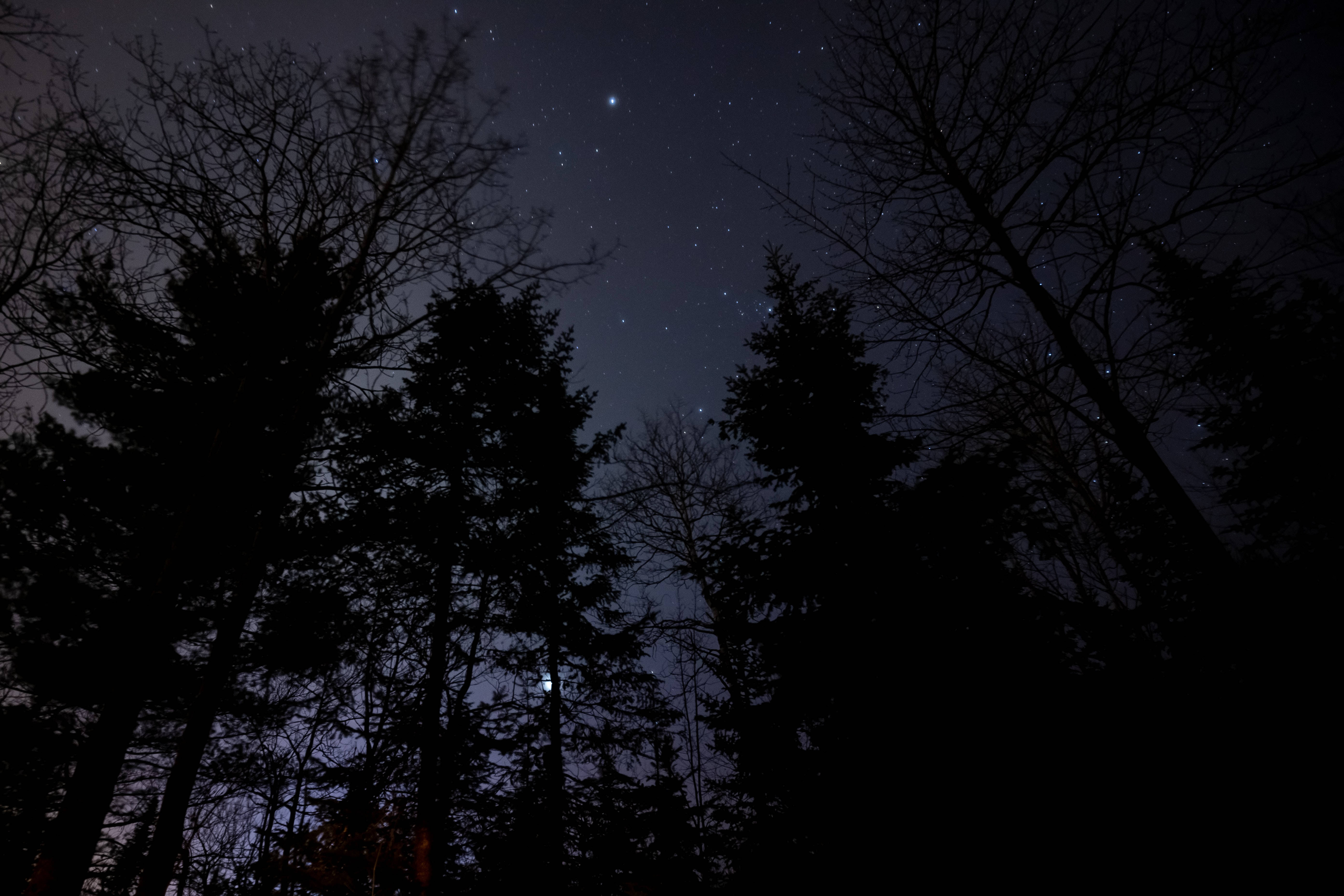 星空之夜 壁纸