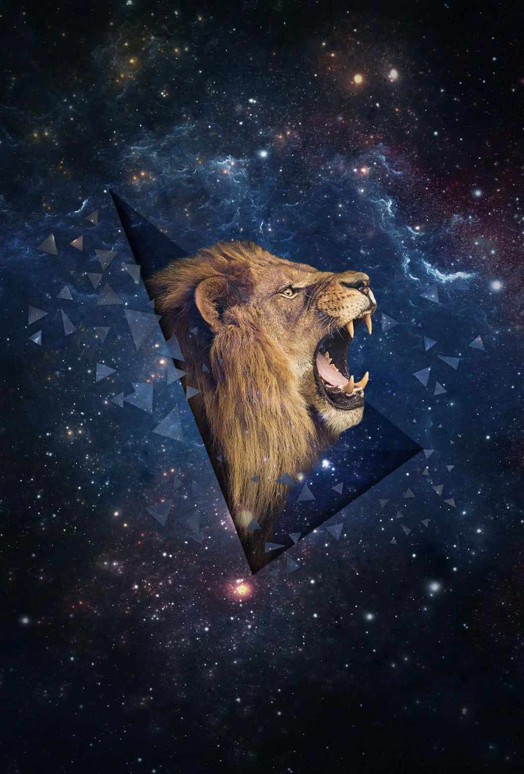 星系狮子背景 壁纸