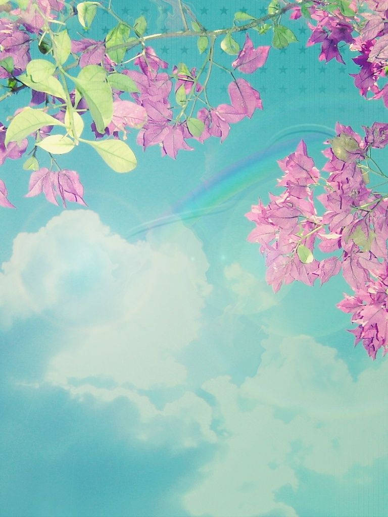 春日天空 iPad Mini 壁纸