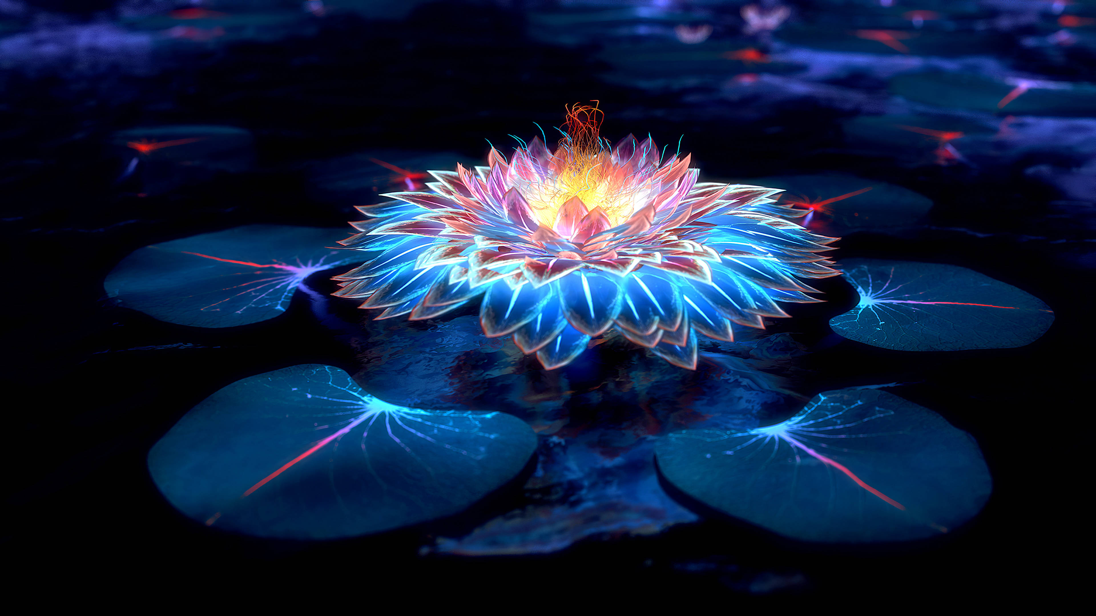 暗夜中的莲花与灯火 壁纸