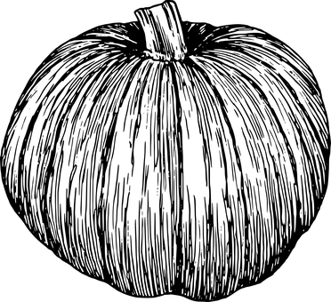 暗夜南瓜 壁纸