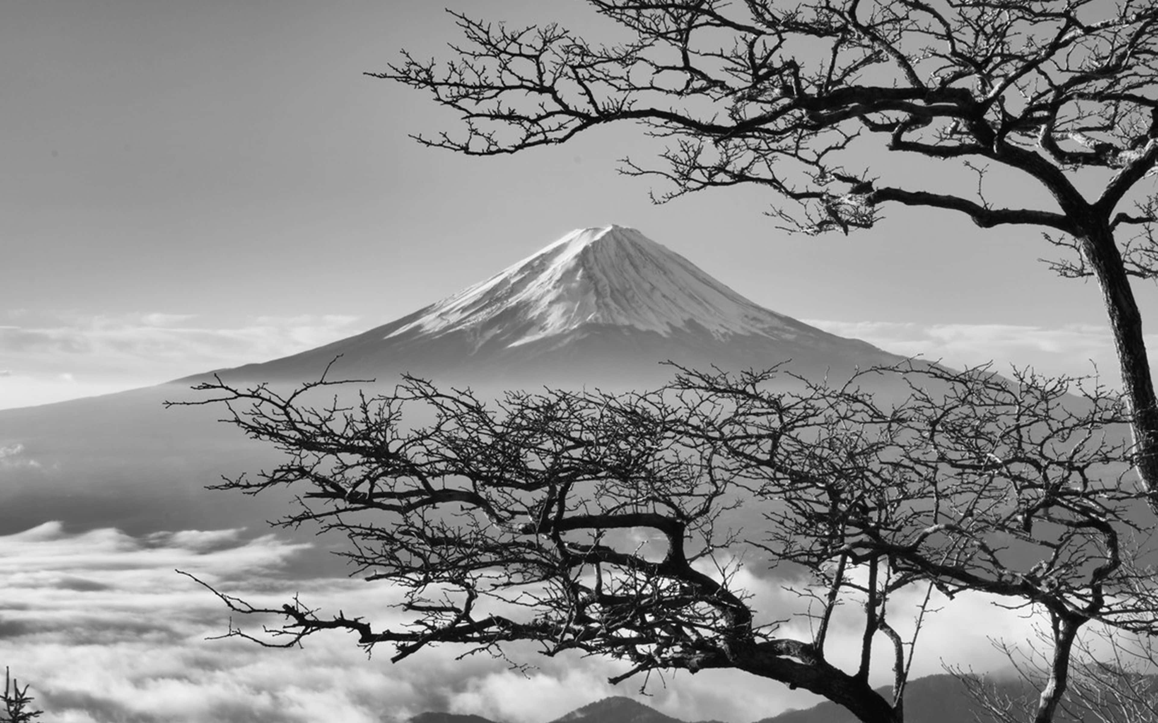 暗黑日式富士山与樱花 壁纸