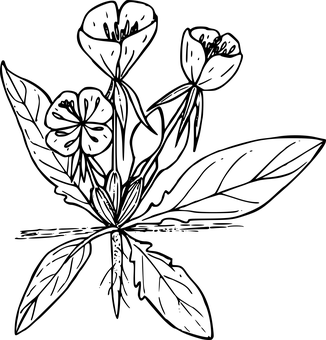 暗黑空白画布 壁纸