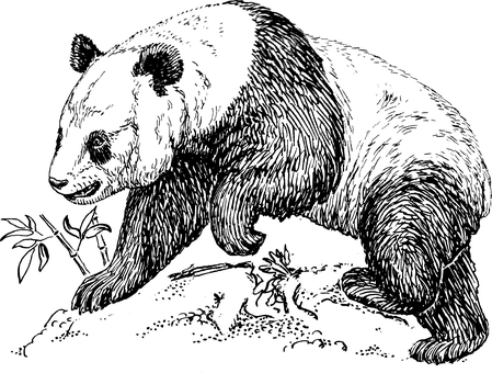 暗黑空白画布 壁纸