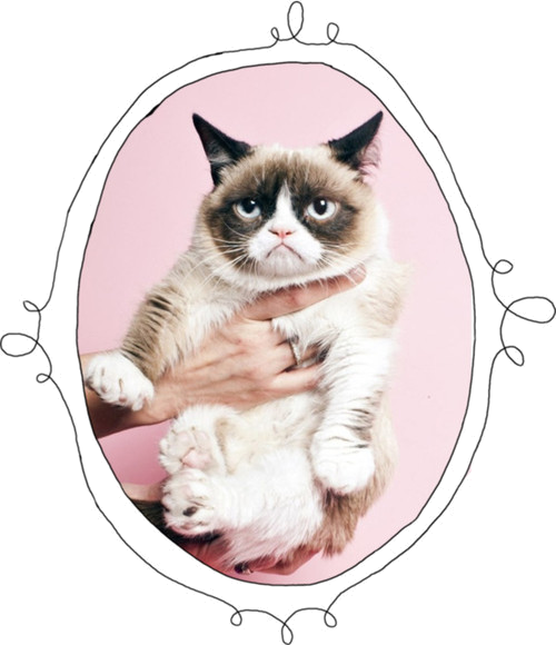 暴躁猫肖像 壁纸