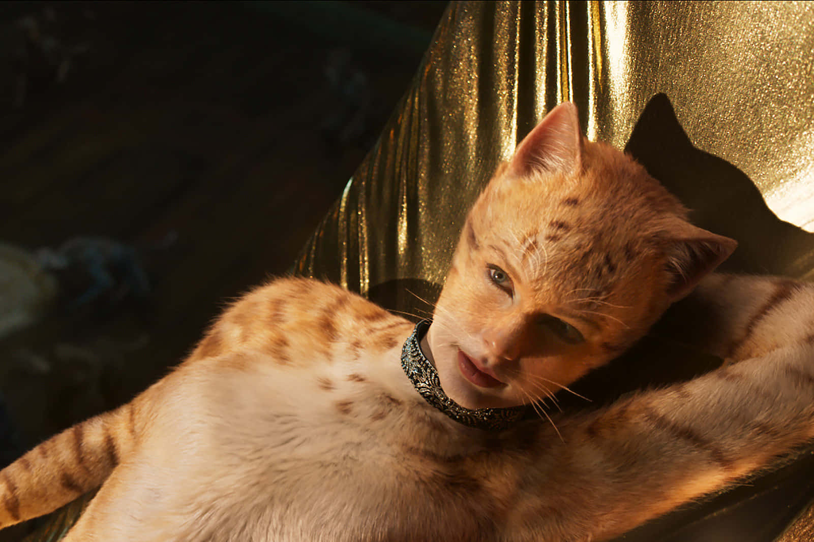 最搞笑的猫咪角色泰勒·斯威夫特图片 壁纸