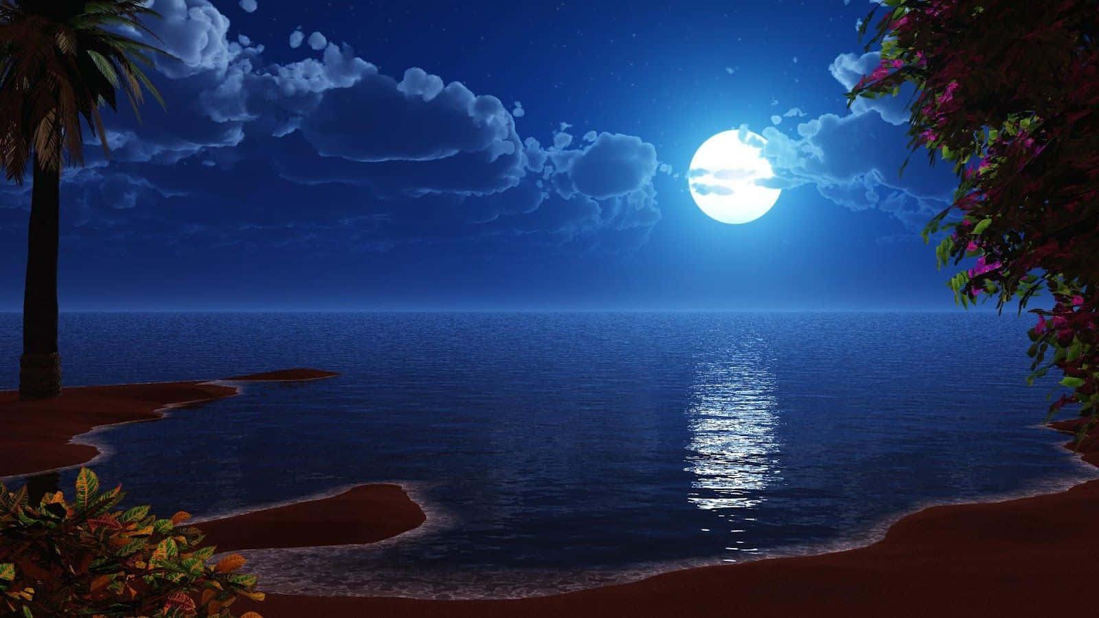 月光下的棕榈树海滩夜景 壁纸