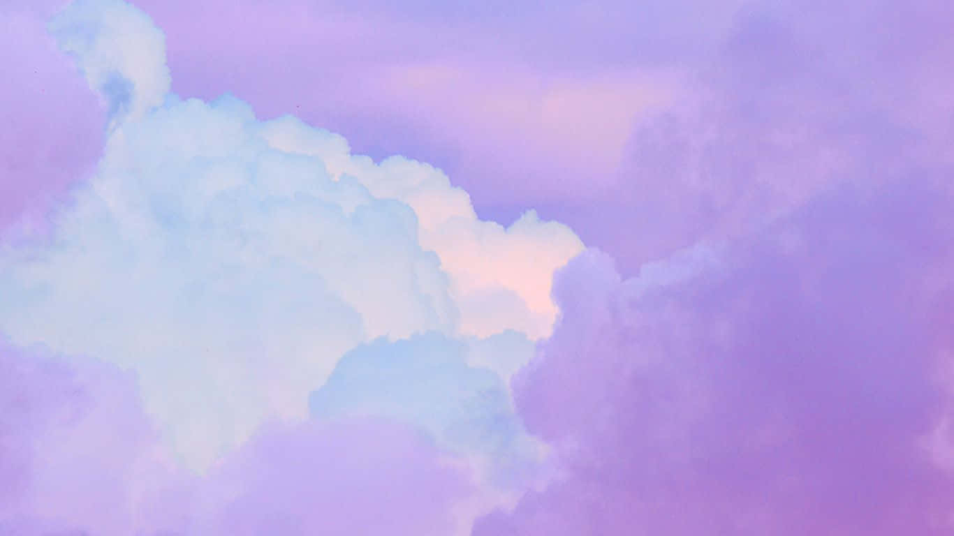 朦胧薰衣草淡紫色美学背景 壁纸