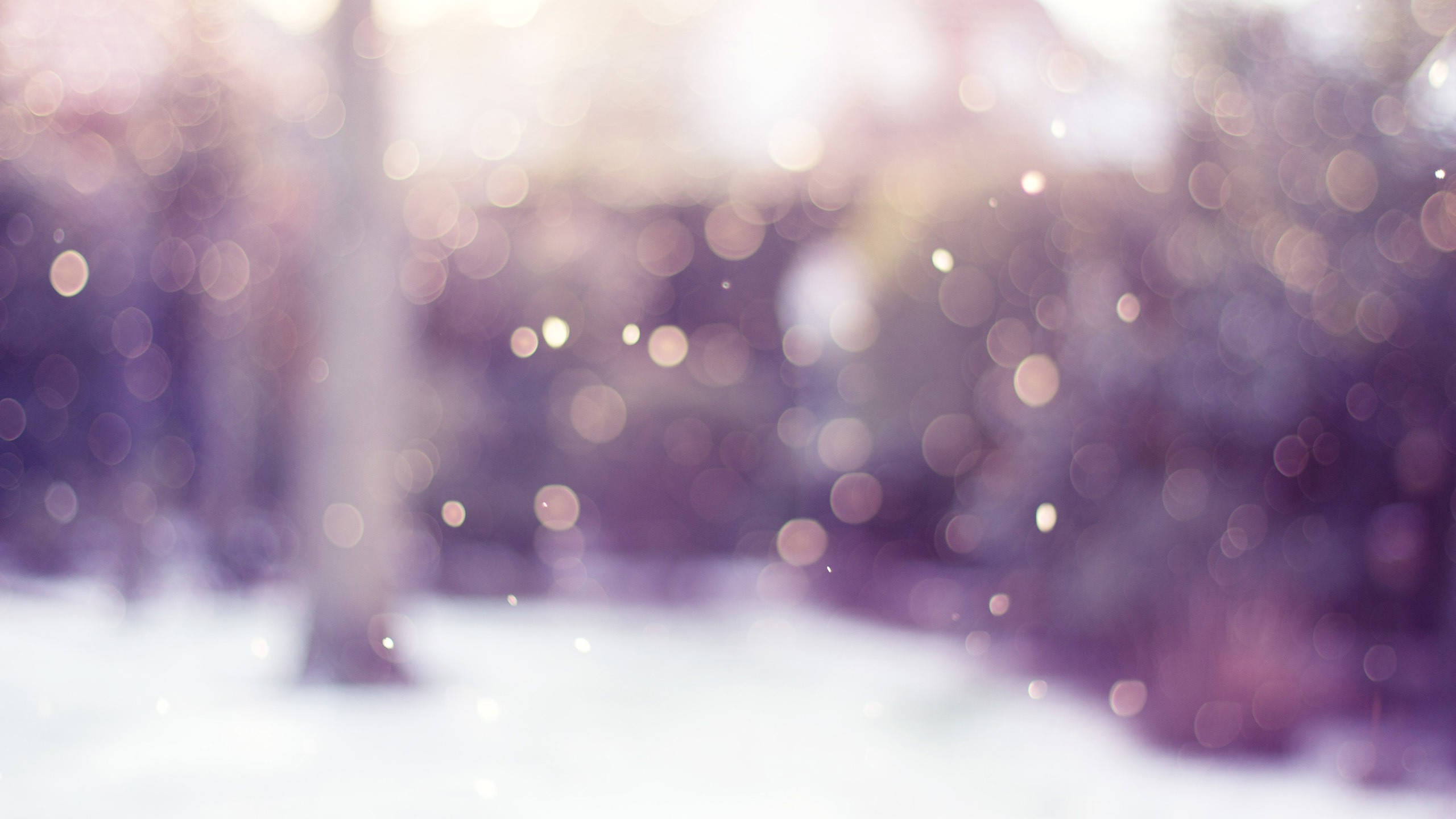 朦胧雪景美学 壁纸