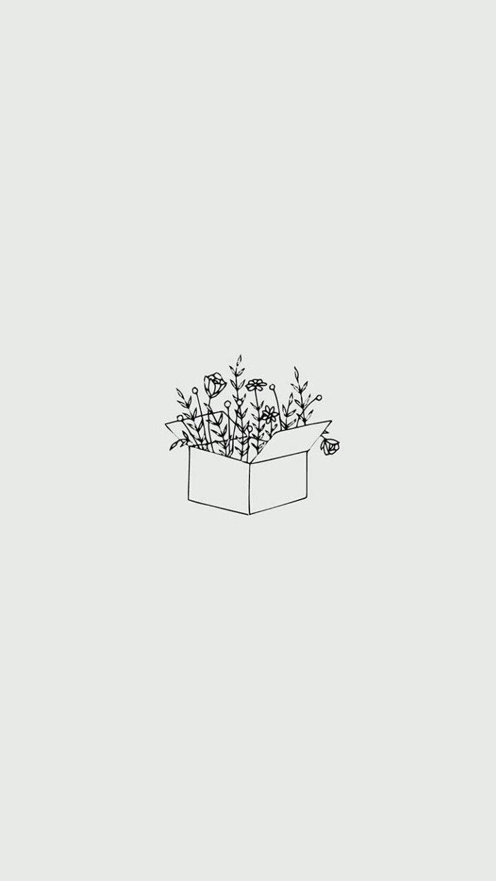 极简美学花盒 壁纸