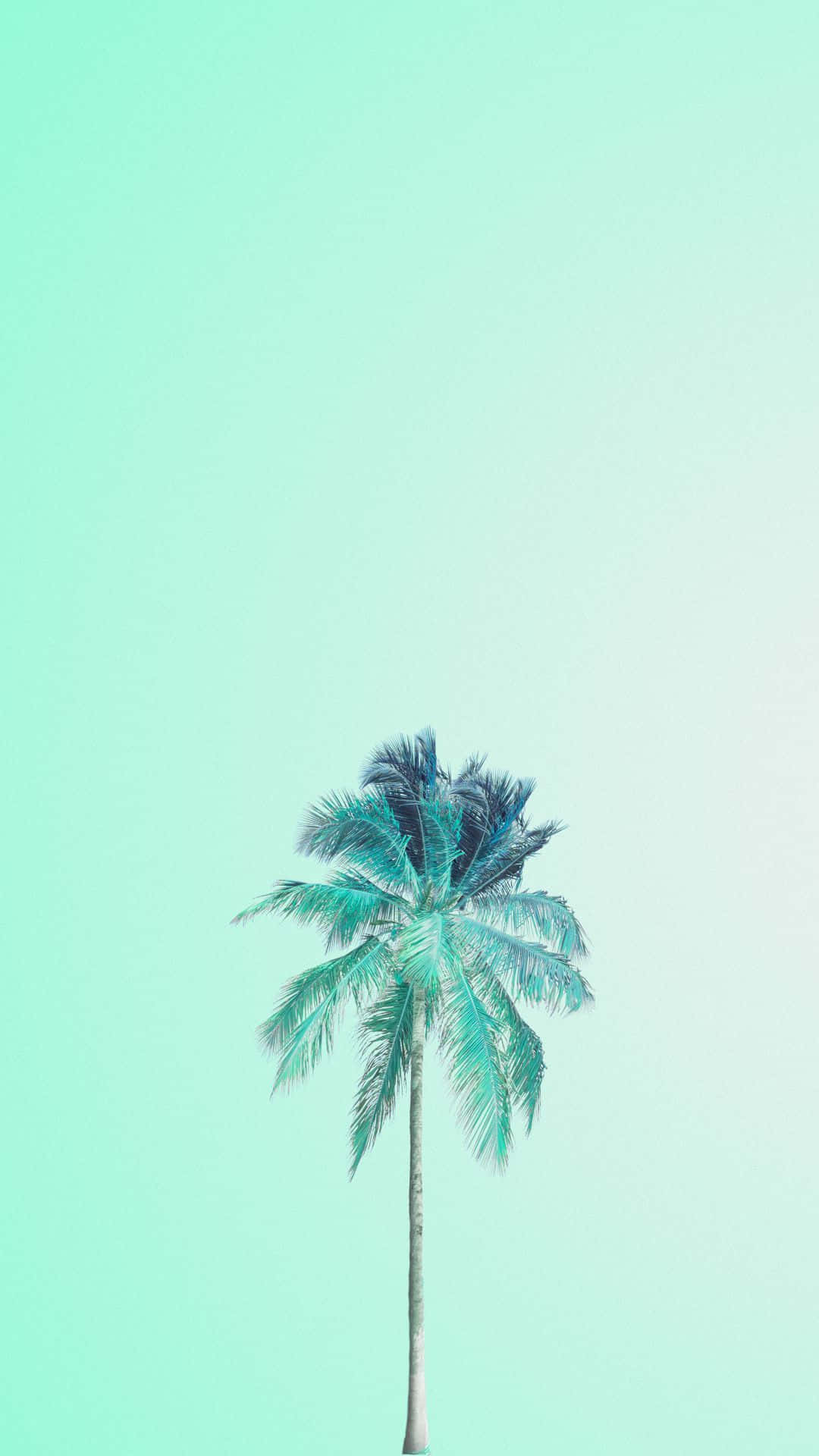 柔和淡雅的浅绿色背景 壁纸