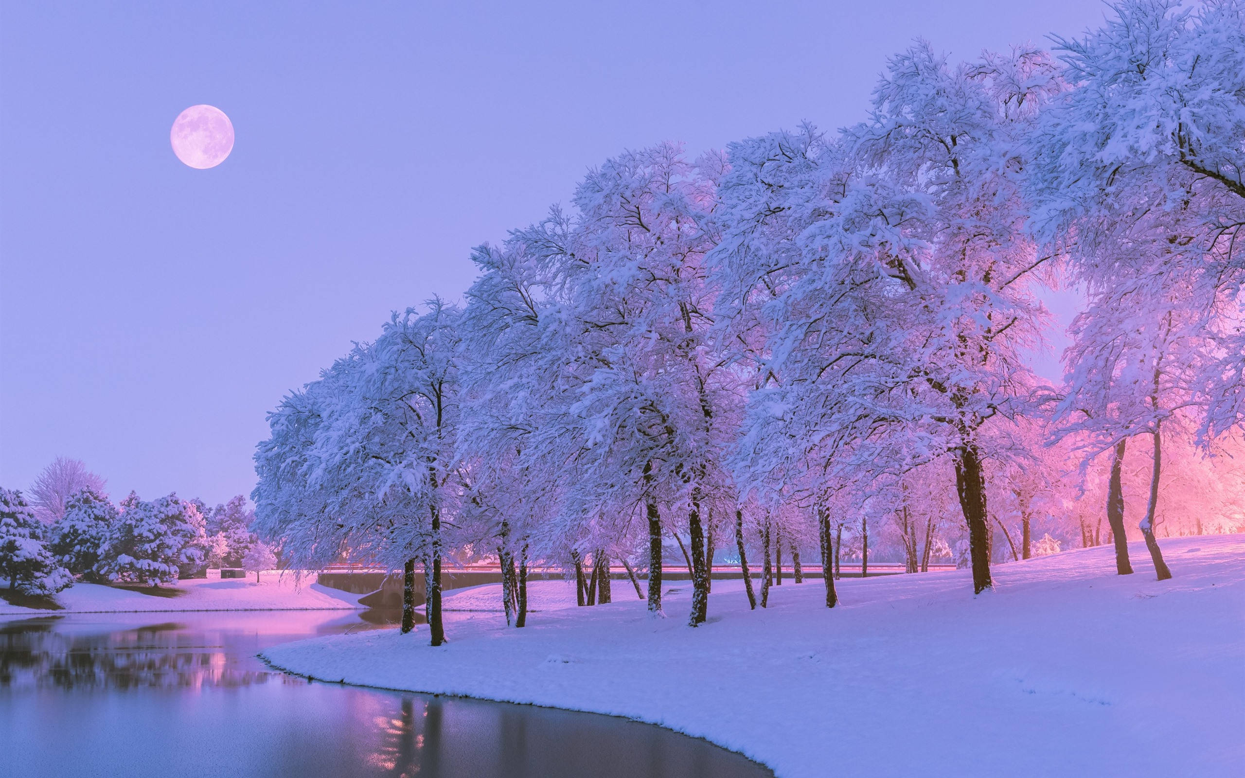 柔和雪夜美学 壁纸