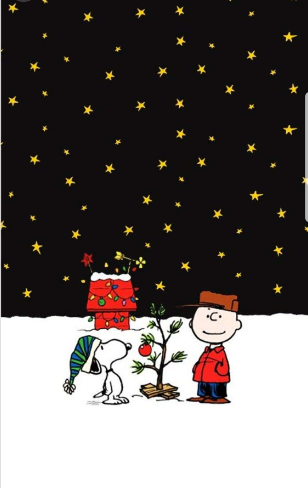 查理·布朗星光圣诞夜 壁纸
