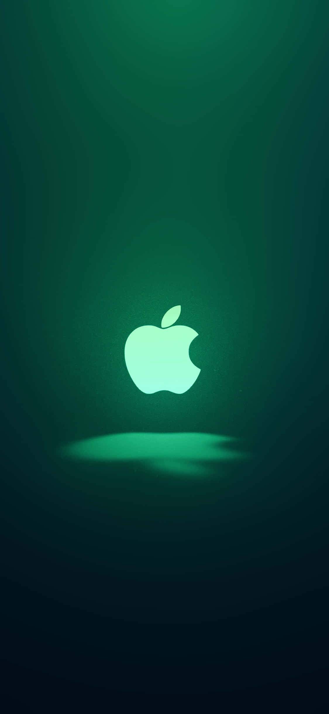 标志性iPhone 11绿色苹果Logo 壁纸