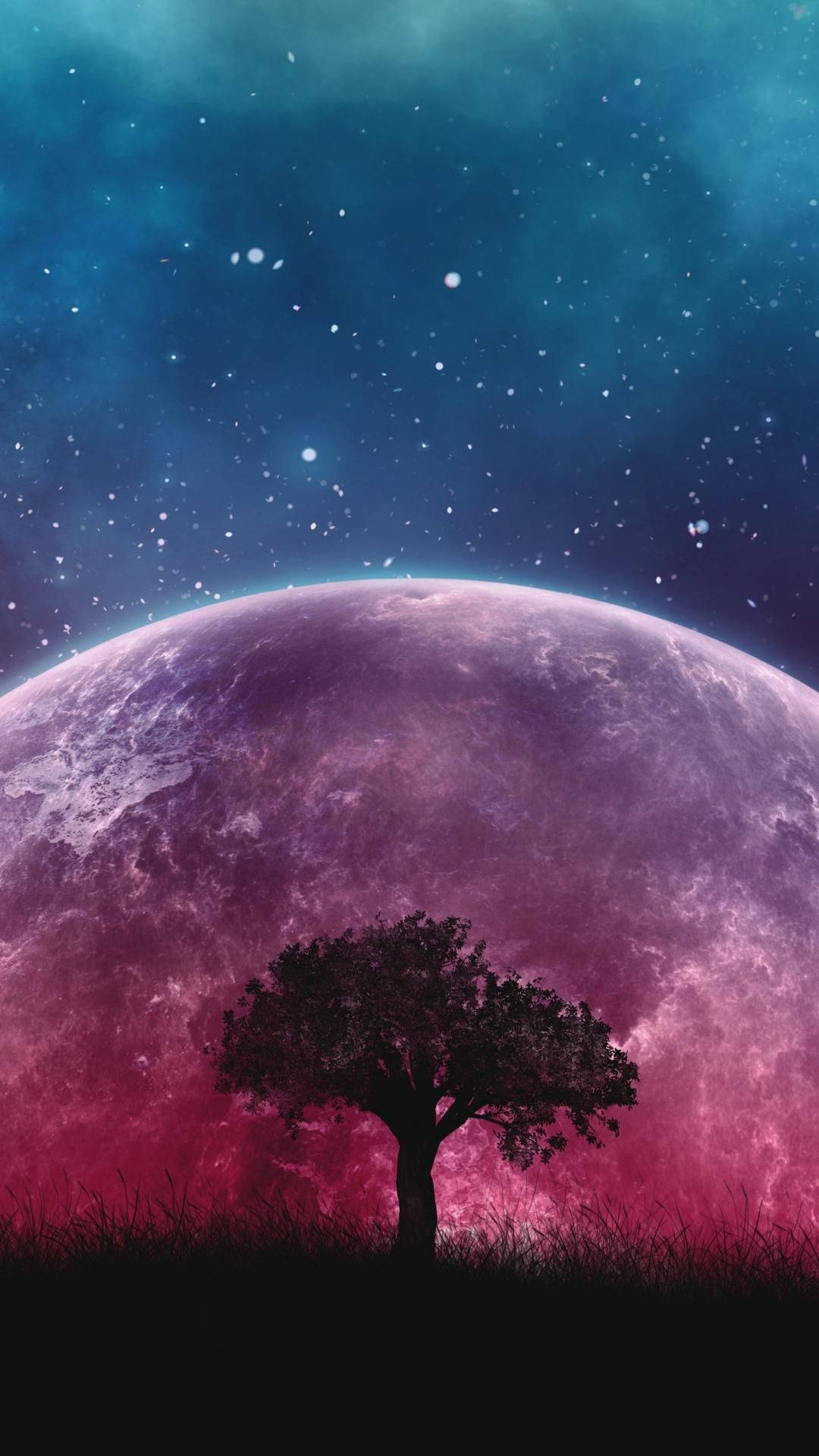 树影映星河 壁纸