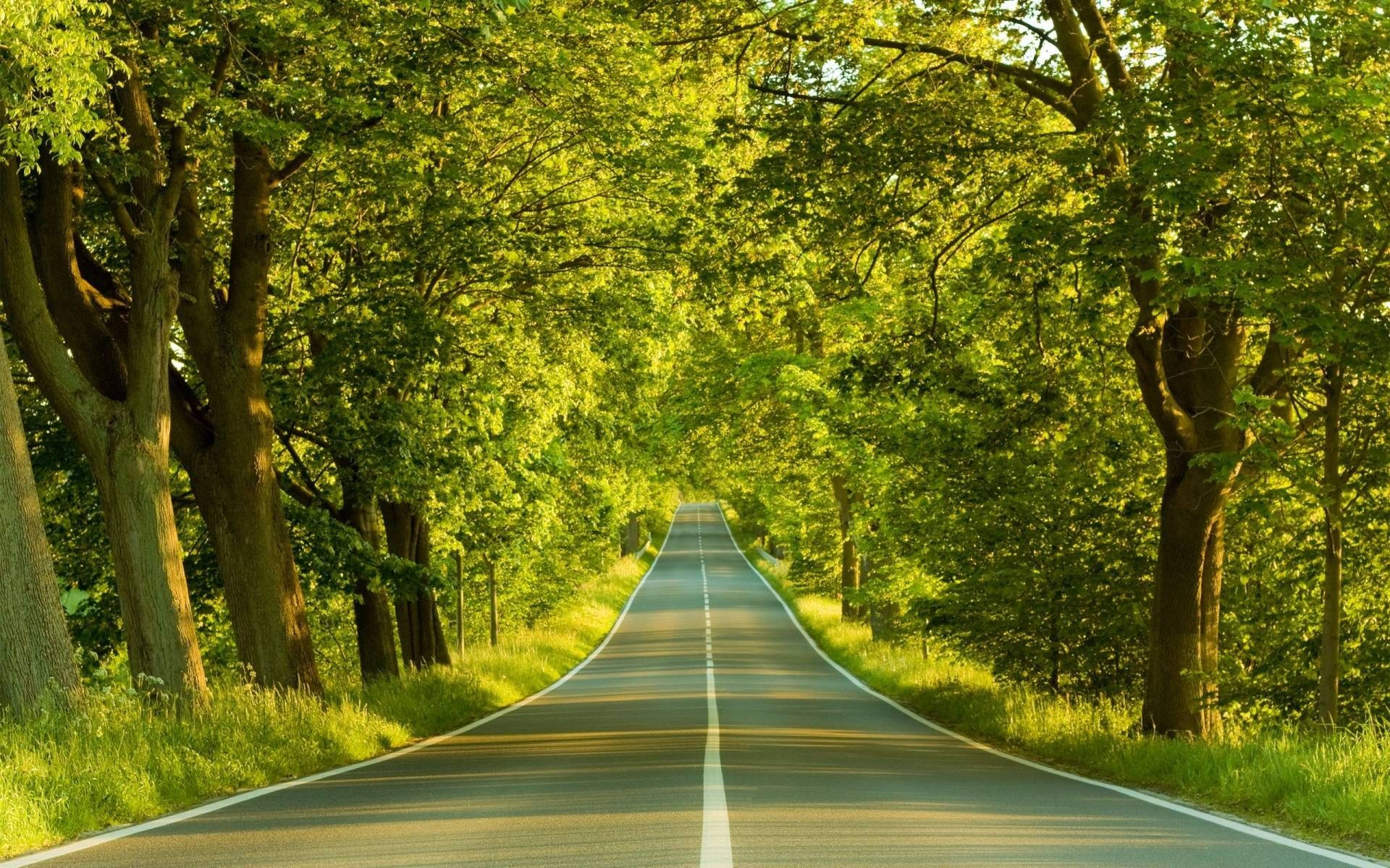 桌面全屏高清公路