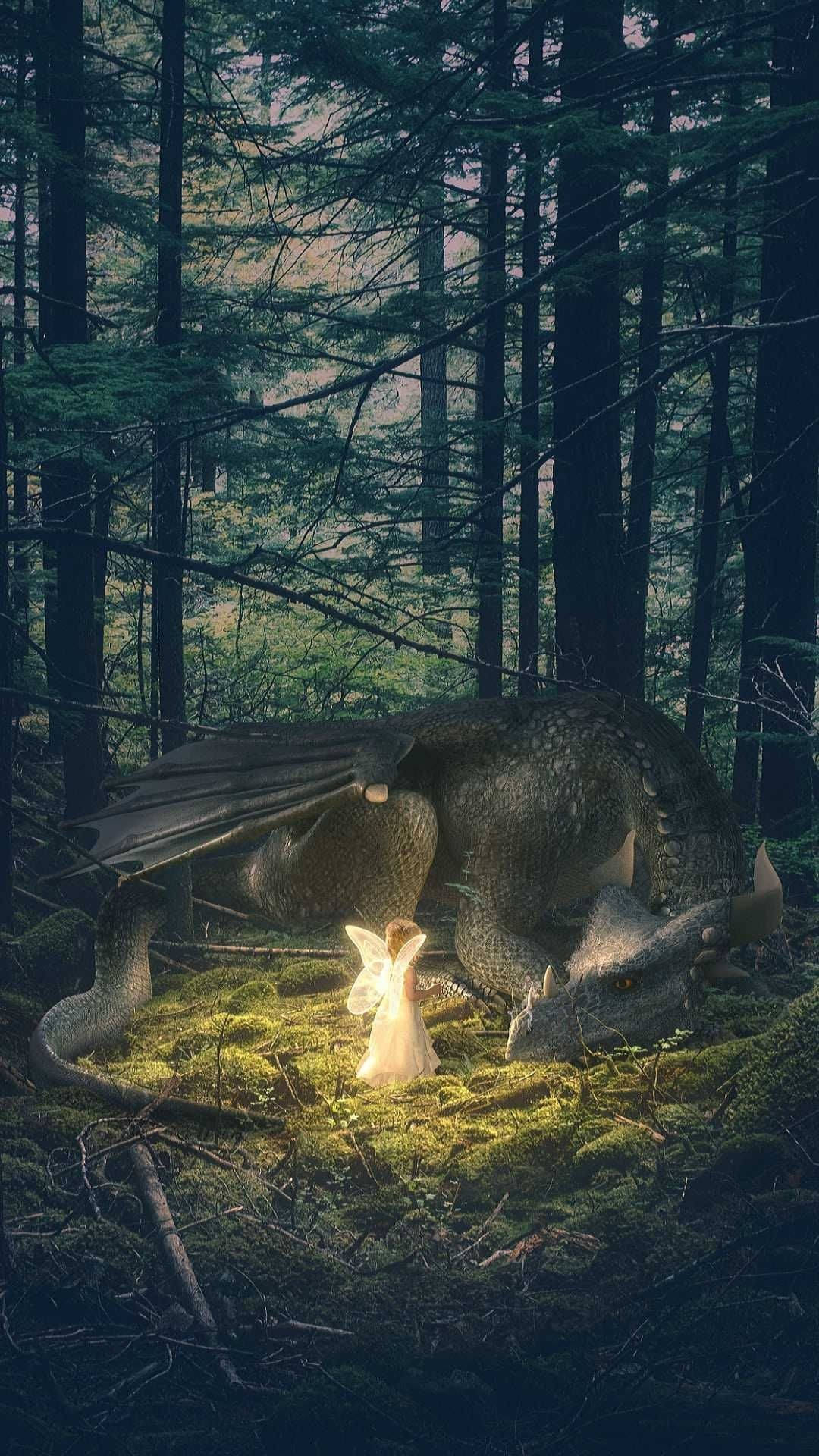梦幻仙子与龙 壁纸