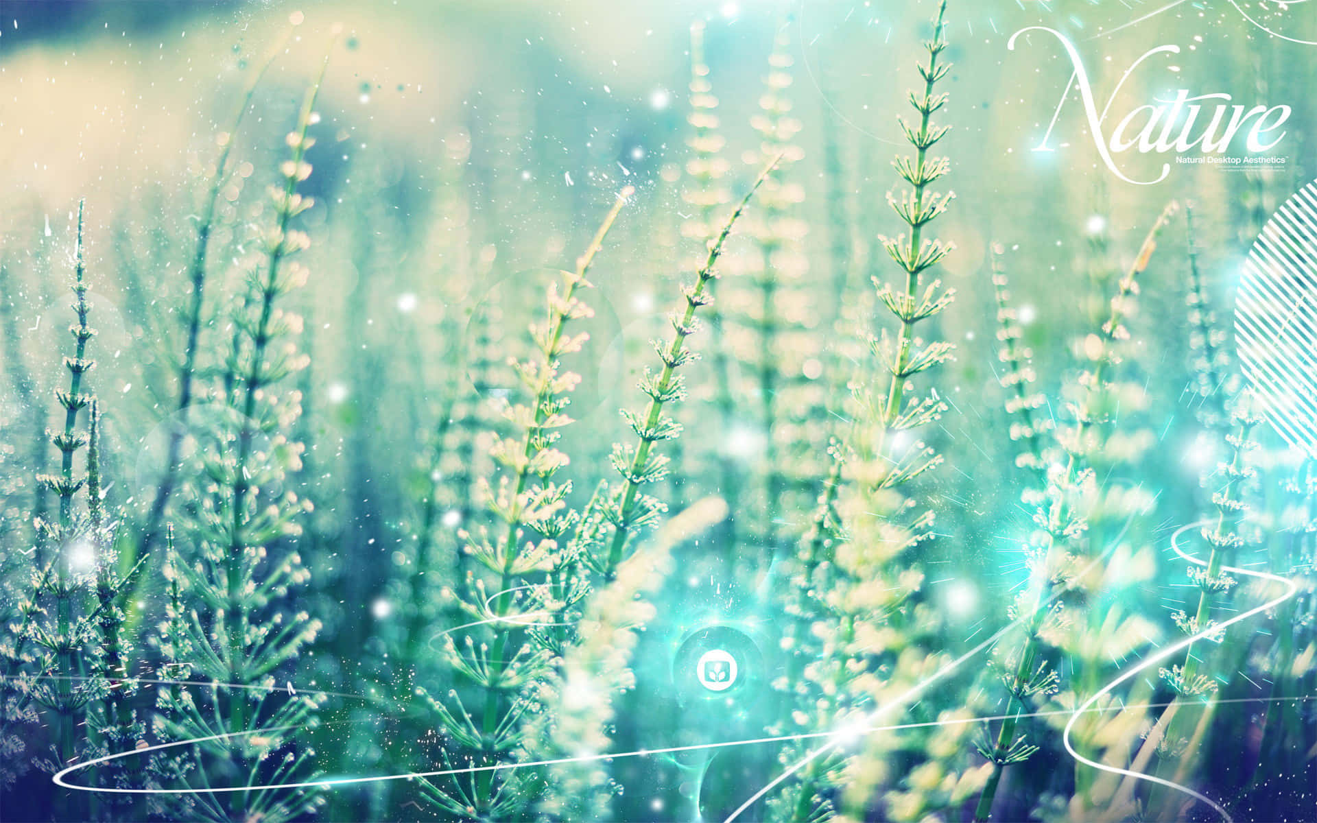 梦幻柔彩天空 壁纸
