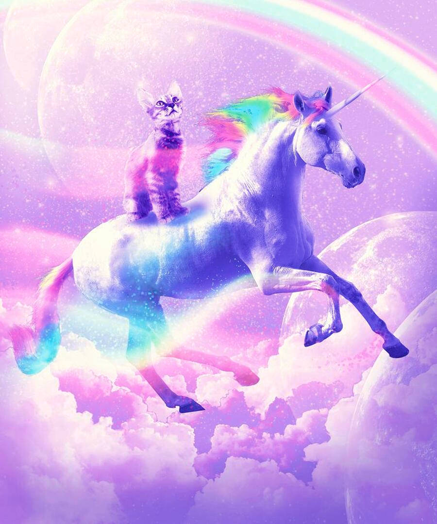 梦幻猫咪骑乘银河独角兽 壁纸