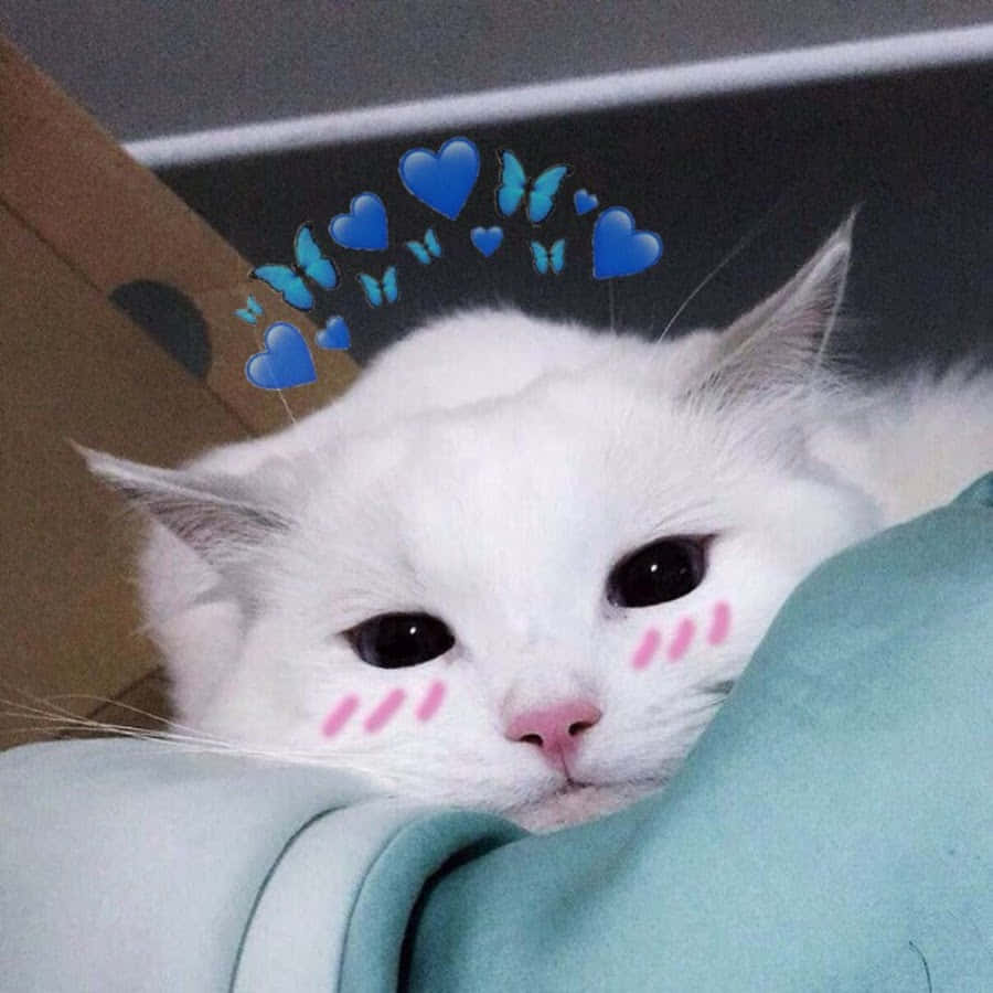 梦幻粉彩美猫梦境 壁纸