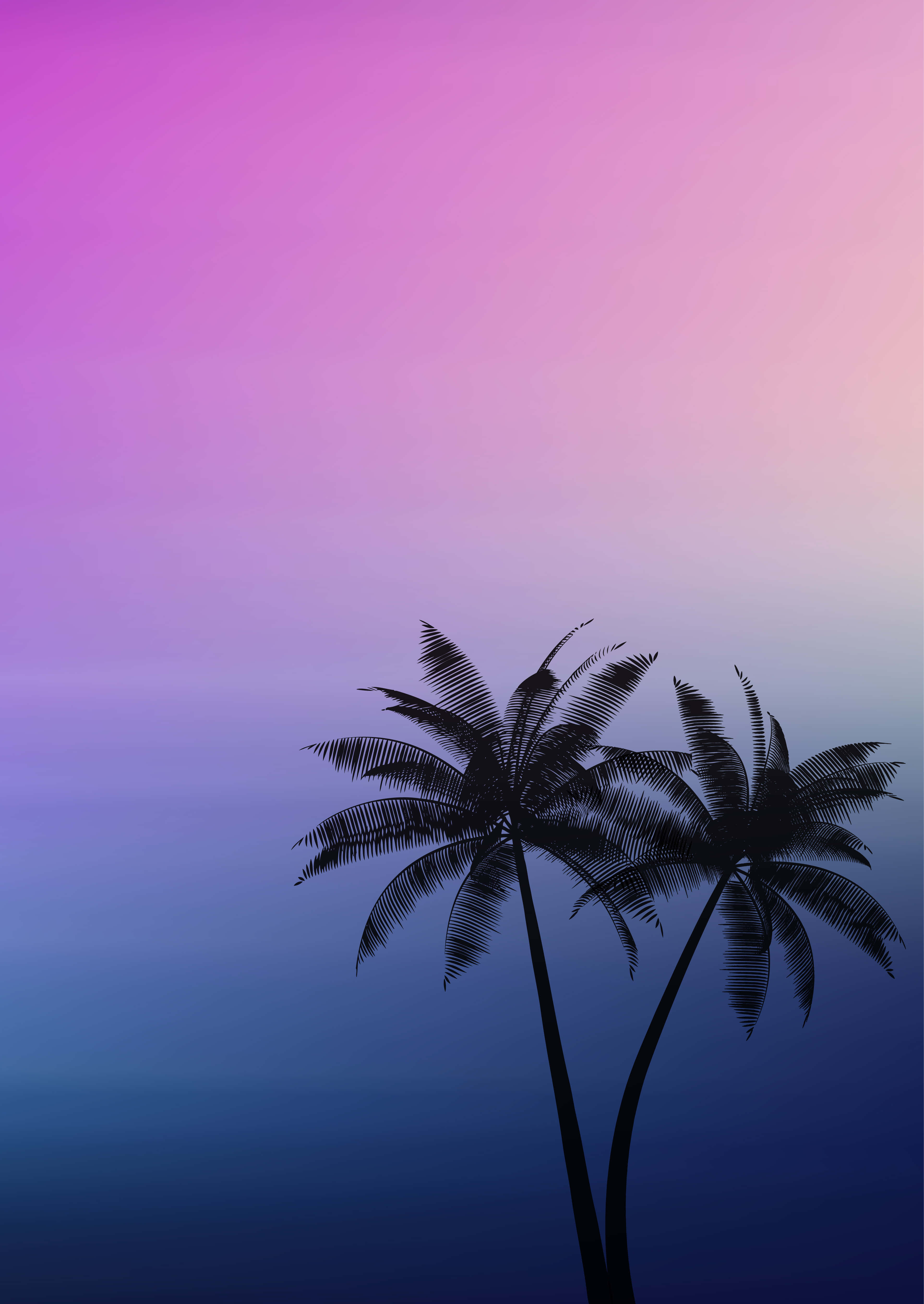 棕榈树背景 壁纸