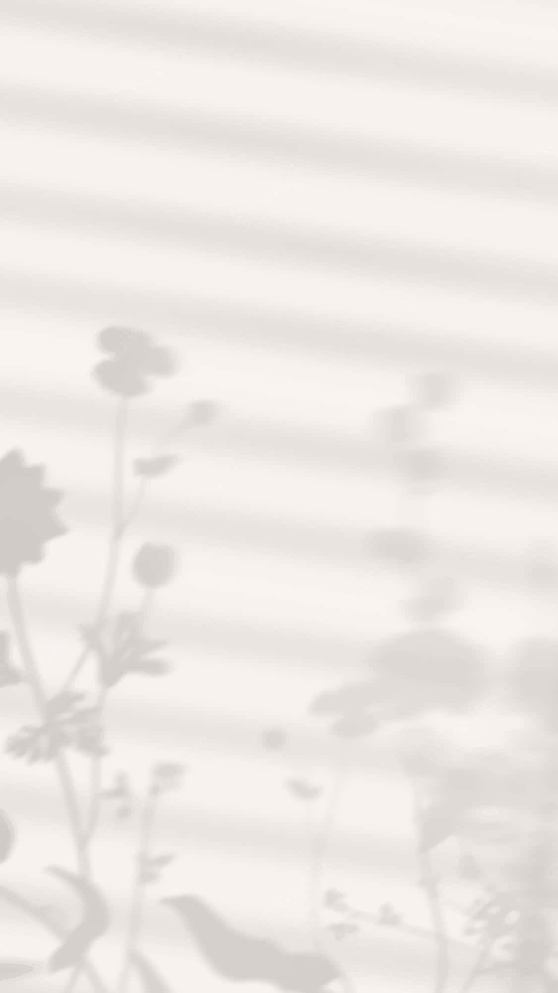 植物剪影美学图片 壁纸