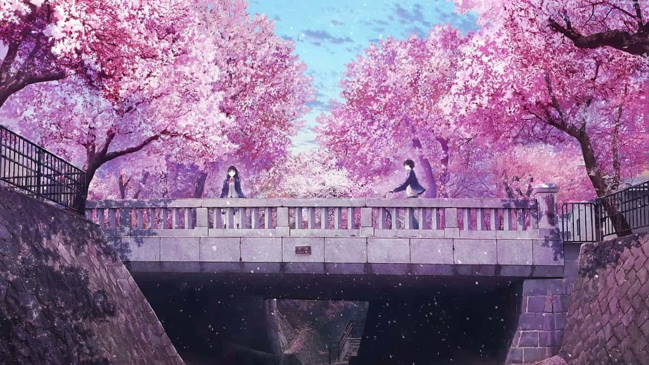 樱花动漫风景 少女站于桥上 壁纸