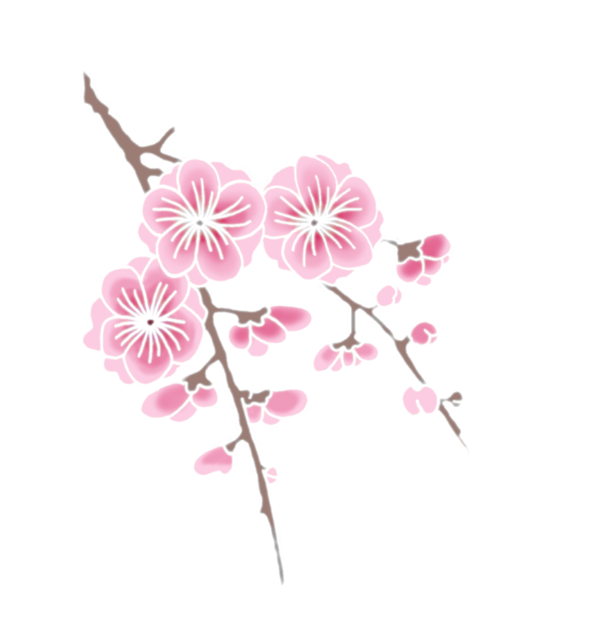 樱花枝上绽放 壁纸