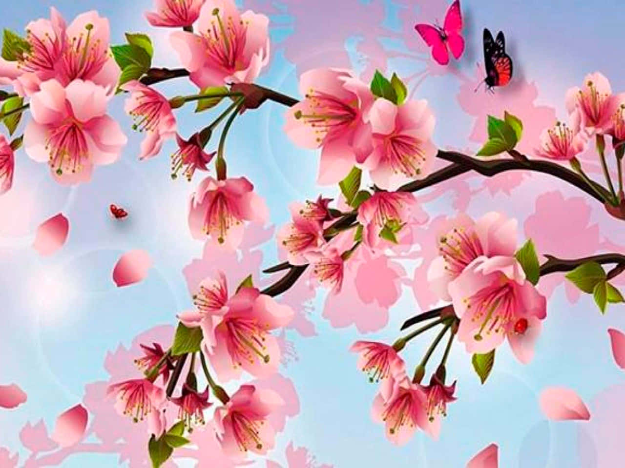 樱花背景 壁纸