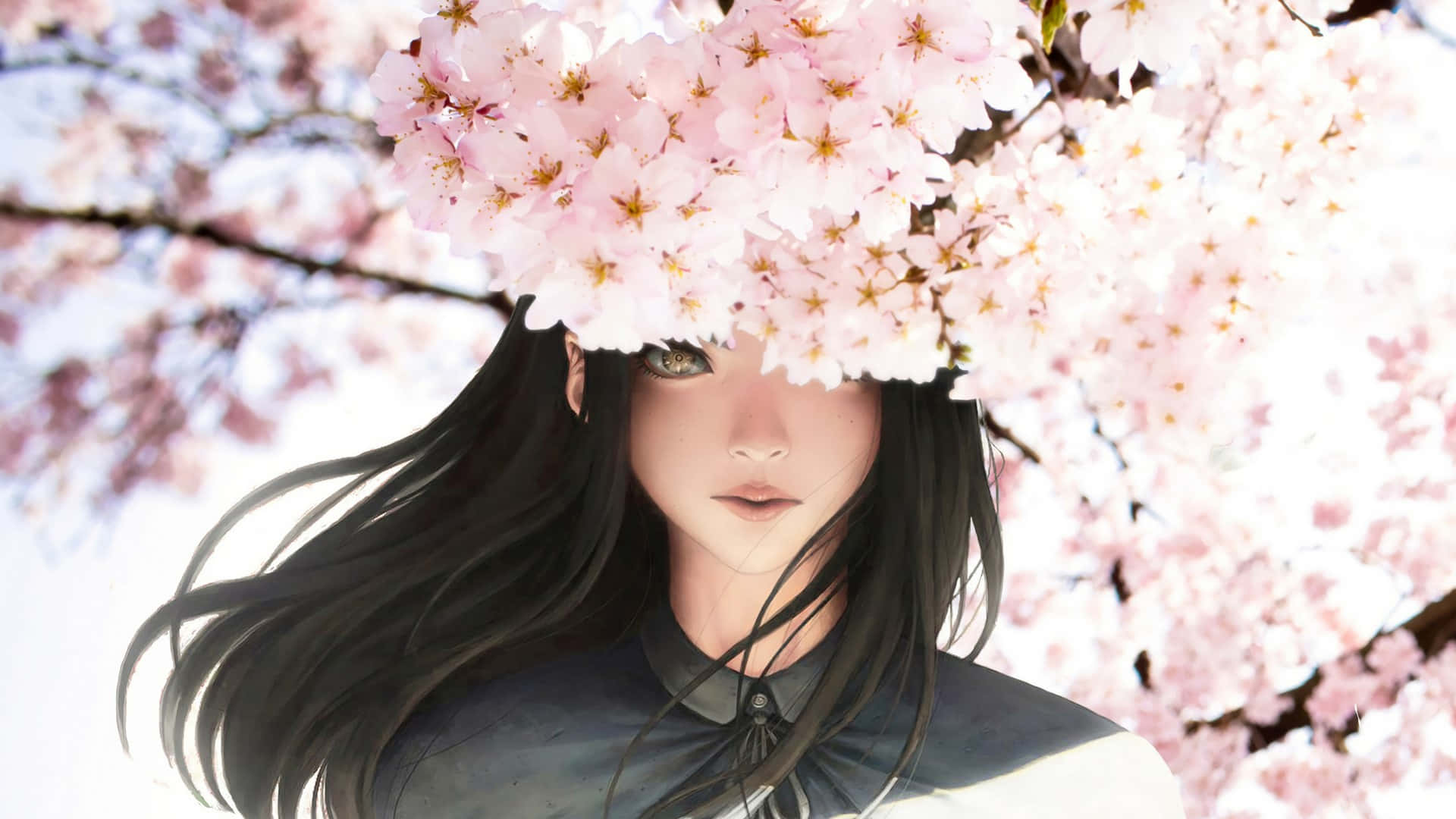 樱花背景 壁纸