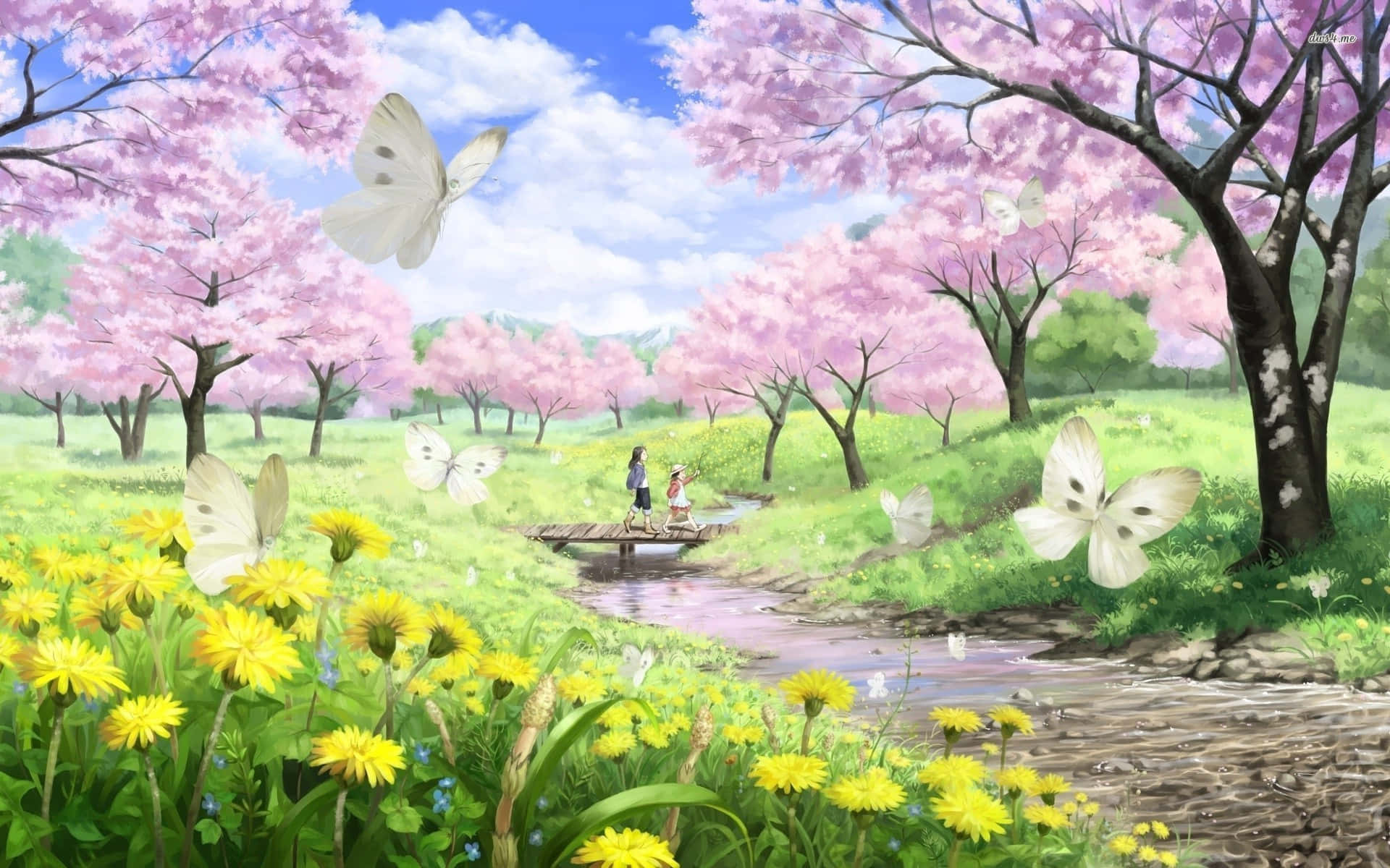 樱花背景 壁纸