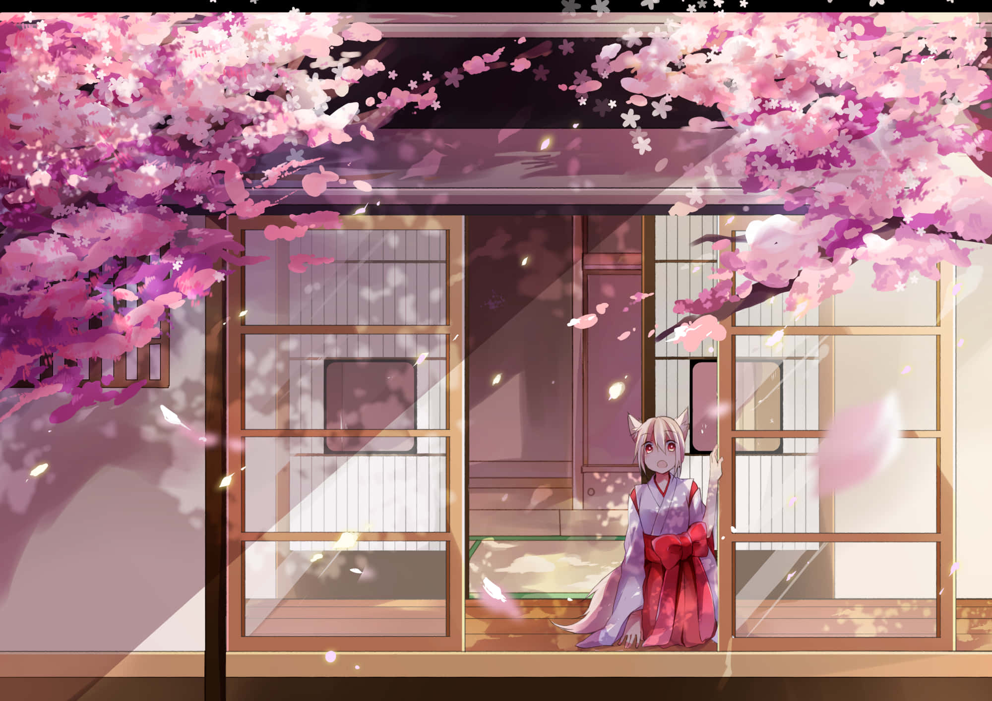樱花背景 壁纸