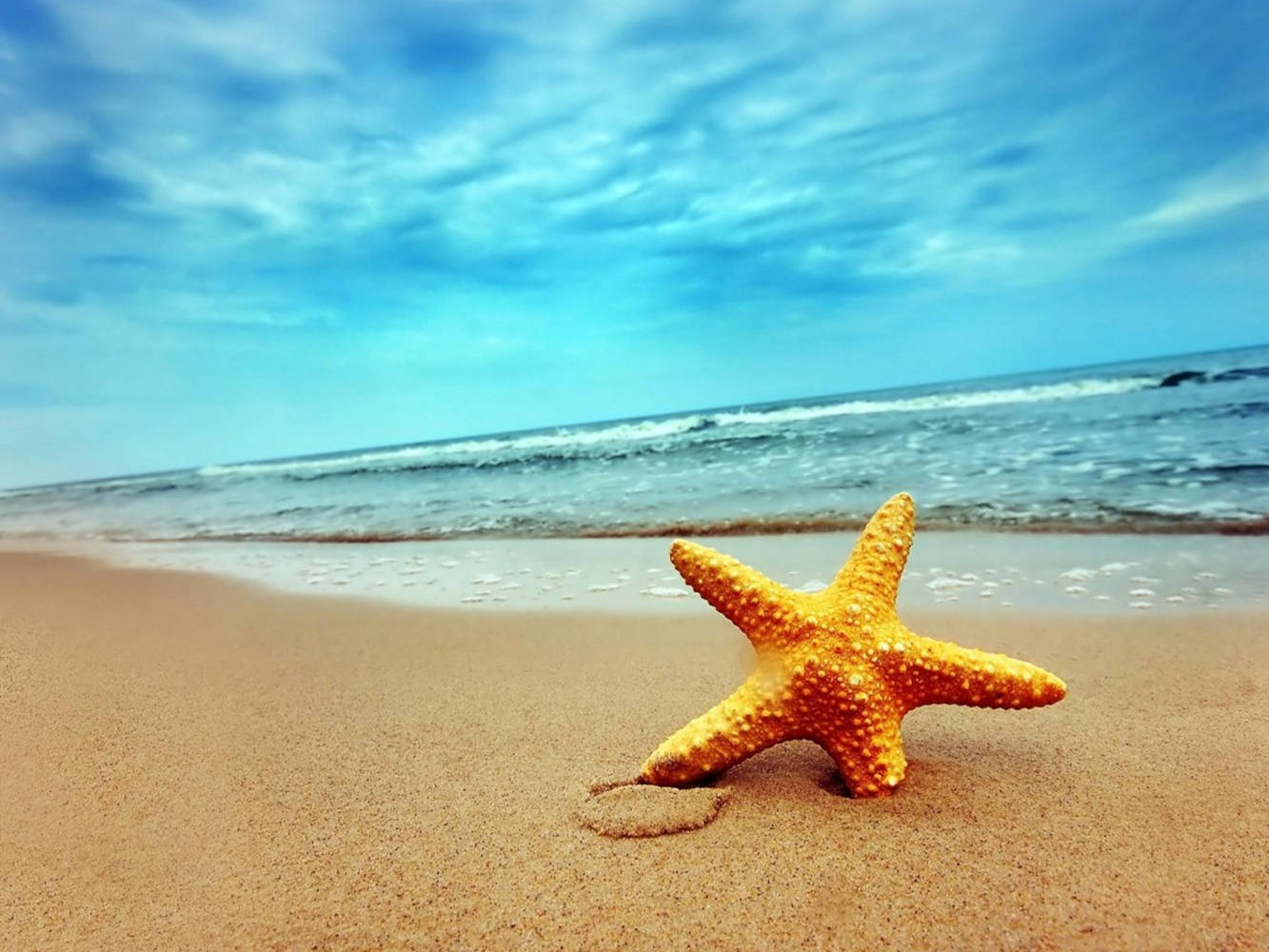 橙色海星海滩景色 壁纸